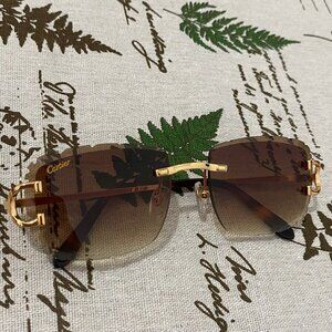 Cartier Sunglasses - Wooden Temples Decoration